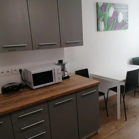 Appartement Tulip - 4 Ze Wspolna Lazienka I Kuchnia